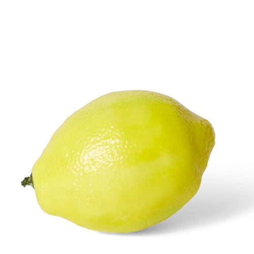 Faux Lemon-elme living-Shop At The Hive Ashburton-Lifestyle Store & Online Gifts