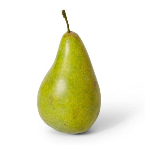 Faux Pear Bartlet-elme living-Shop At The Hive Ashburton-Lifestyle Store & Online Gifts