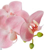 Pink Phalaenopsis Orchid in Vase-elme living-Shop At The Hive Ashburton-Lifestyle Store & Online Gifts