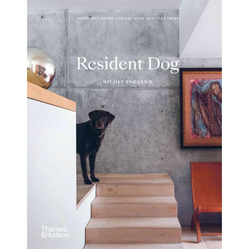 Resident Dog-Brumby Sunstate-Shop At The Hive Ashburton-Lifestyle Store & Online Gifts