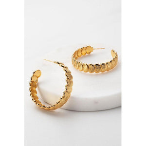 Shell Hoops / Gold-Zafino-Shop At The Hive Ashburton-Lifestyle Store & Online Gifts