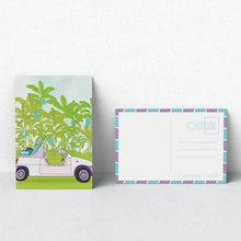 Smelly Balls Tropic Set-Roadtrip Essential-Shop At The Hive Ashburton-Lifestyle Store & Online Gifts