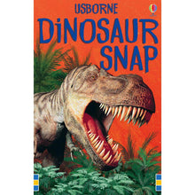 Snap Cards-Brumby Sunstate-Shop At The Hive Ashburton-Lifestyle Store & Online Gifts