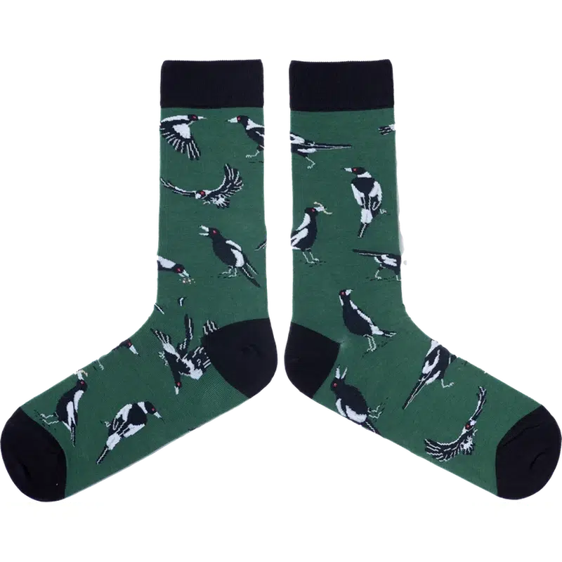 Swoop! Male Socks-Spencer Flynn-Shop At The Hive Ashburton-Lifestyle Store & Online Gifts
