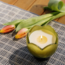 Tulip Soy Candle / Verbena & Lemongrass-Paddy Wax-Shop At The Hive Ashburton-Lifestyle Store & Online Gifts