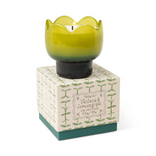 Tulip Soy Candle / Verbena & Lemongrass-Paddy Wax-Shop At The Hive Ashburton-Lifestyle Store & Online Gifts
