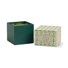 Tulip Soy Candle / Verbena & Lemongrass-Paddy Wax-Shop At The Hive Ashburton-Lifestyle Store & Online Gifts
