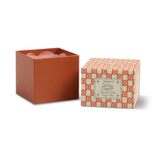 Tulip Soy Candle / Cactus Flower-Paddy Wax-Shop At The Hive Ashburton-Lifestyle Store & Online Gifts