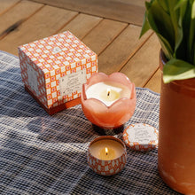 Tulip Soy Candle / Cactus Flower-Paddy Wax-Shop At The Hive Ashburton-Lifestyle Store & Online Gifts