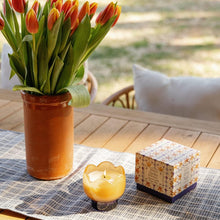 Tulip Soy Candle / Garden & Grove-Paddy Wax-Shop At The Hive Ashburton-Lifestyle Store & Online Gifts