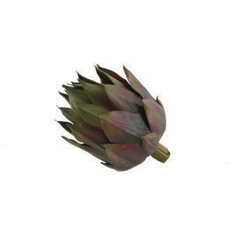 Artichoke Head-Rogue-The Hive Ashburton