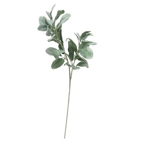 Lamb Ear 2 Stem-Coast to Coast-Shop At The Hive Ashburton-Lifestyle Store & Online Gifts