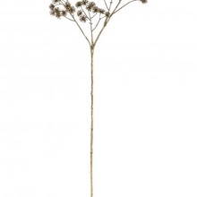 Metallic Patrinia Spray-Albi-The Hive Ashburton