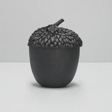 Secret Acorn Box / Black-White Moose-Shop At The Hive Ashburton-Lifestyle Store & Online Gifts