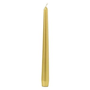 Tapered Dinner Candles-Bolsius-Shop At The Hive Ashburton-Lifestyle Store & Online Gifts