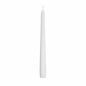 Tapered Dinner Candles-Bolsius-Shop At The Hive Ashburton-Lifestyle Store & Online Gifts